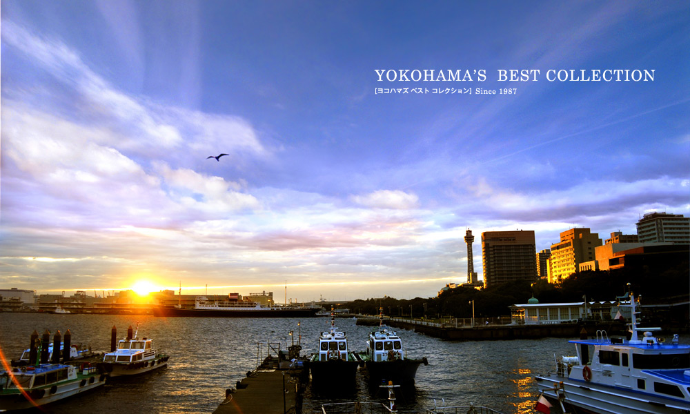 Yokohama's Best Collection／ヨコハマズ ベスト コレクション